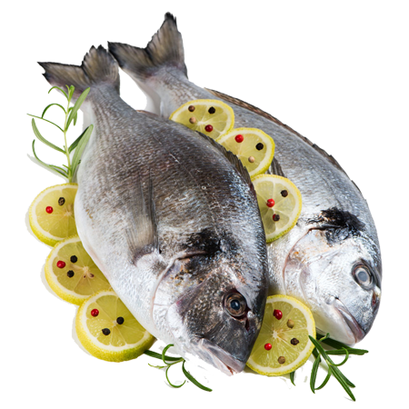 astrovastuwithsunny.in